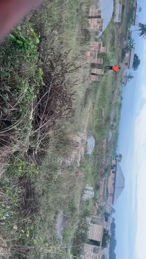  Land for Sale at Danchira, Ga South – Gh₵30,000 Only!