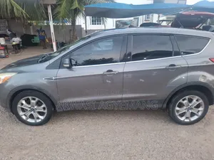 Ford Escape SE 2013 Gray