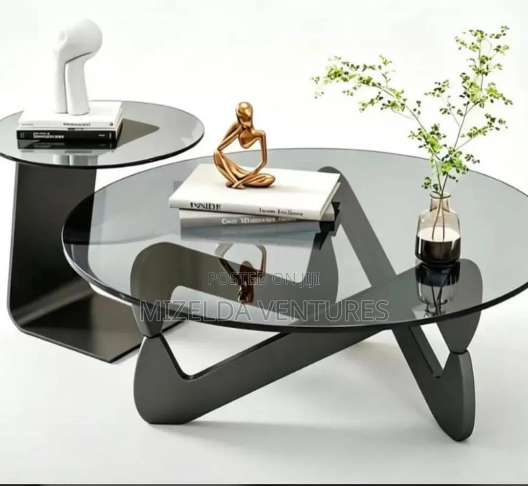 2 in 1 Modern Shaped Coffee Tables Set