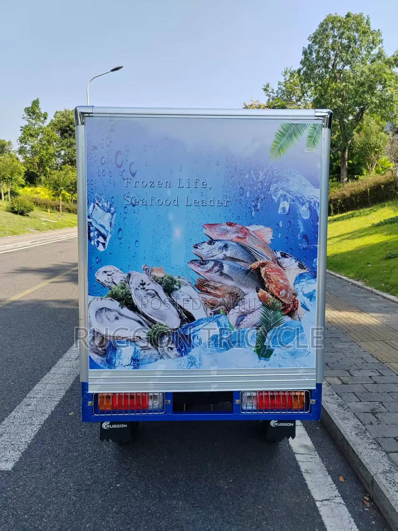 New Tricycle 2026 Blue