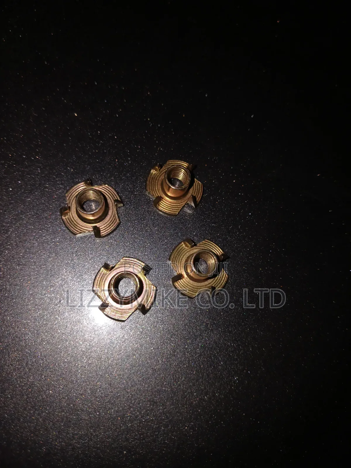 T Nut and Bolt