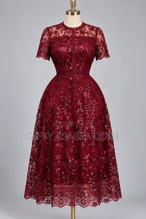 Burgundy Sequined Lace Dress