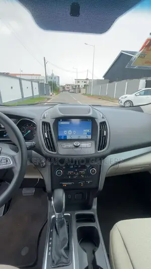 Ford Escape 2019 Burgundy