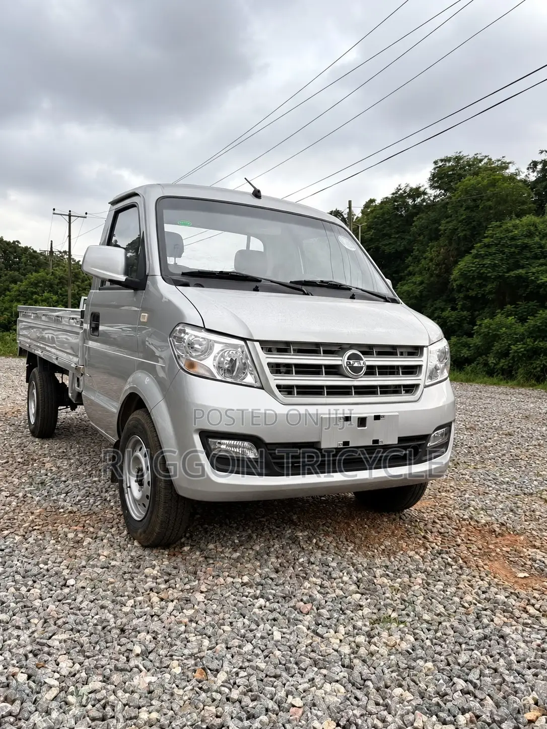 Brand New Dongfeng Mini Pickup Truck 2024 Grey