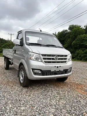 Brand New Dongfeng Mini Pickup Truck 2024 Grey