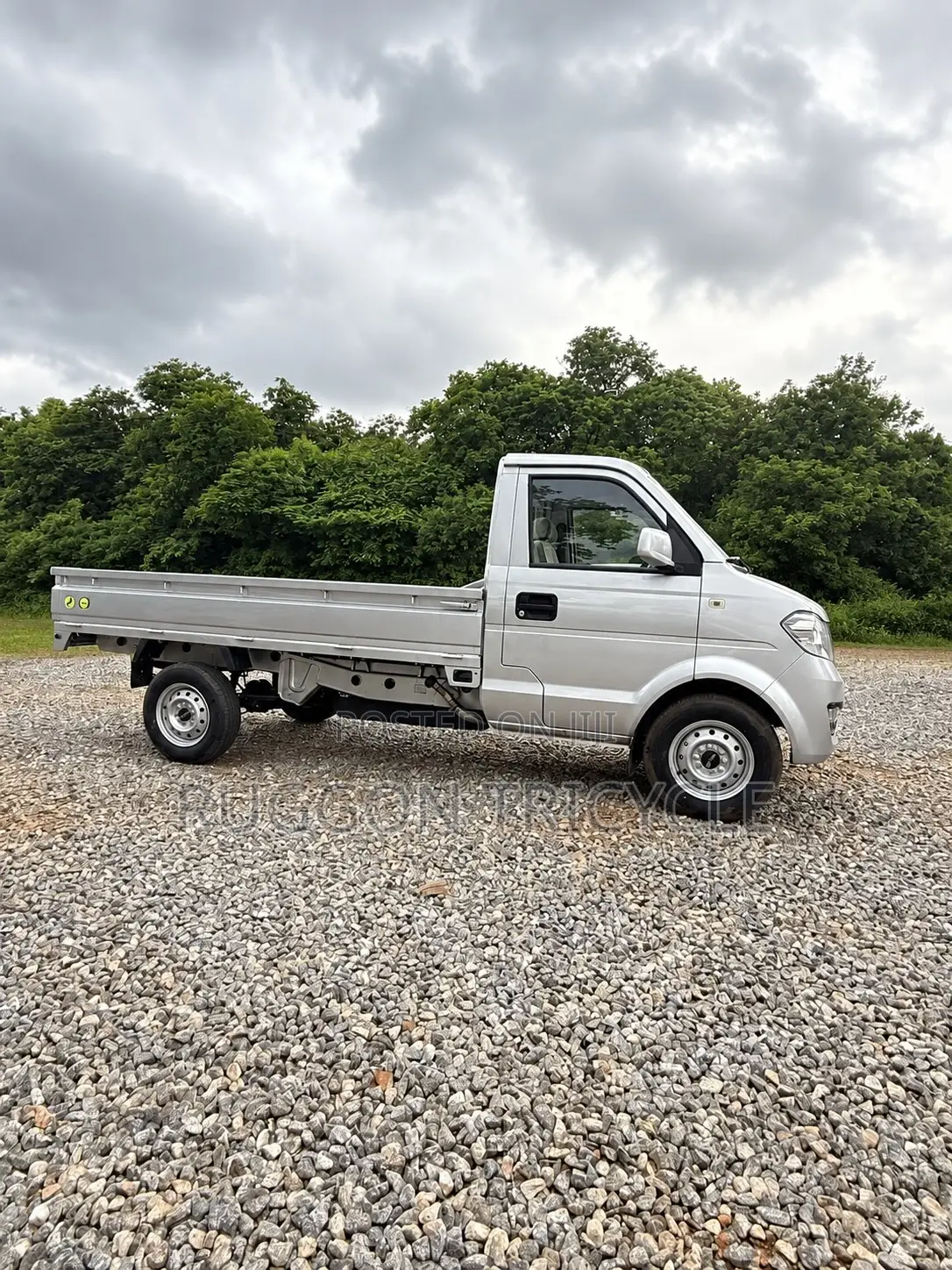 Brand New Dongfeng Mini Pickup Truck 2024 Grey