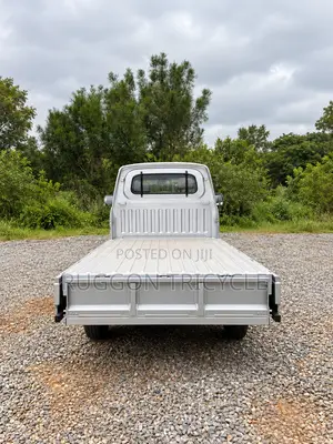 Brand New Dongfeng Mini Pickup Truck 2024 Grey