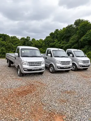 Brand New Dongfeng Mini Pickup Truck 2024 Grey