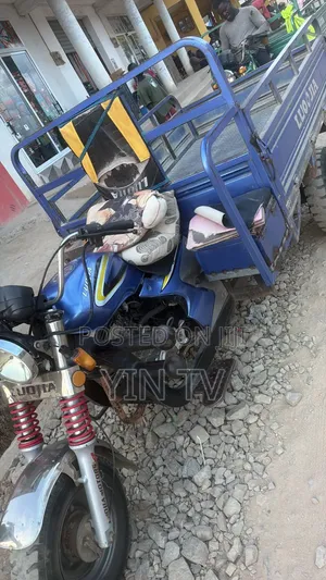 Tricycle 2025 Blue