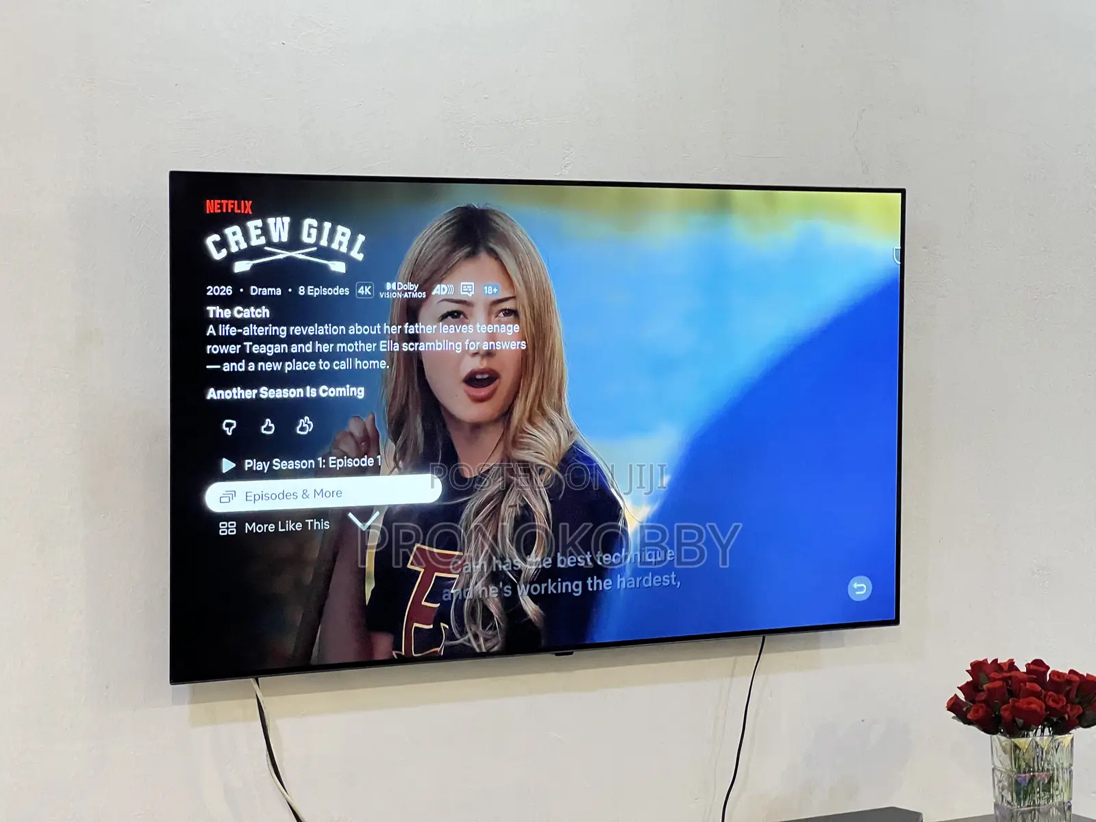 LG 65-Inch 4K OLED Smart TV – Excellent Picture Quality