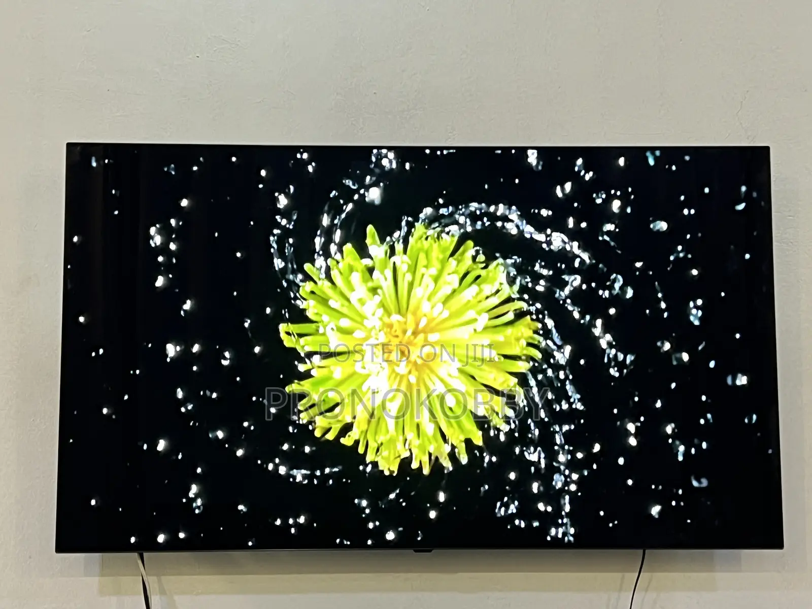 LG 65-Inch 4K OLED Smart TV – Excellent Picture Quality