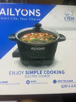 2.5L Ailyons Electric Cooker