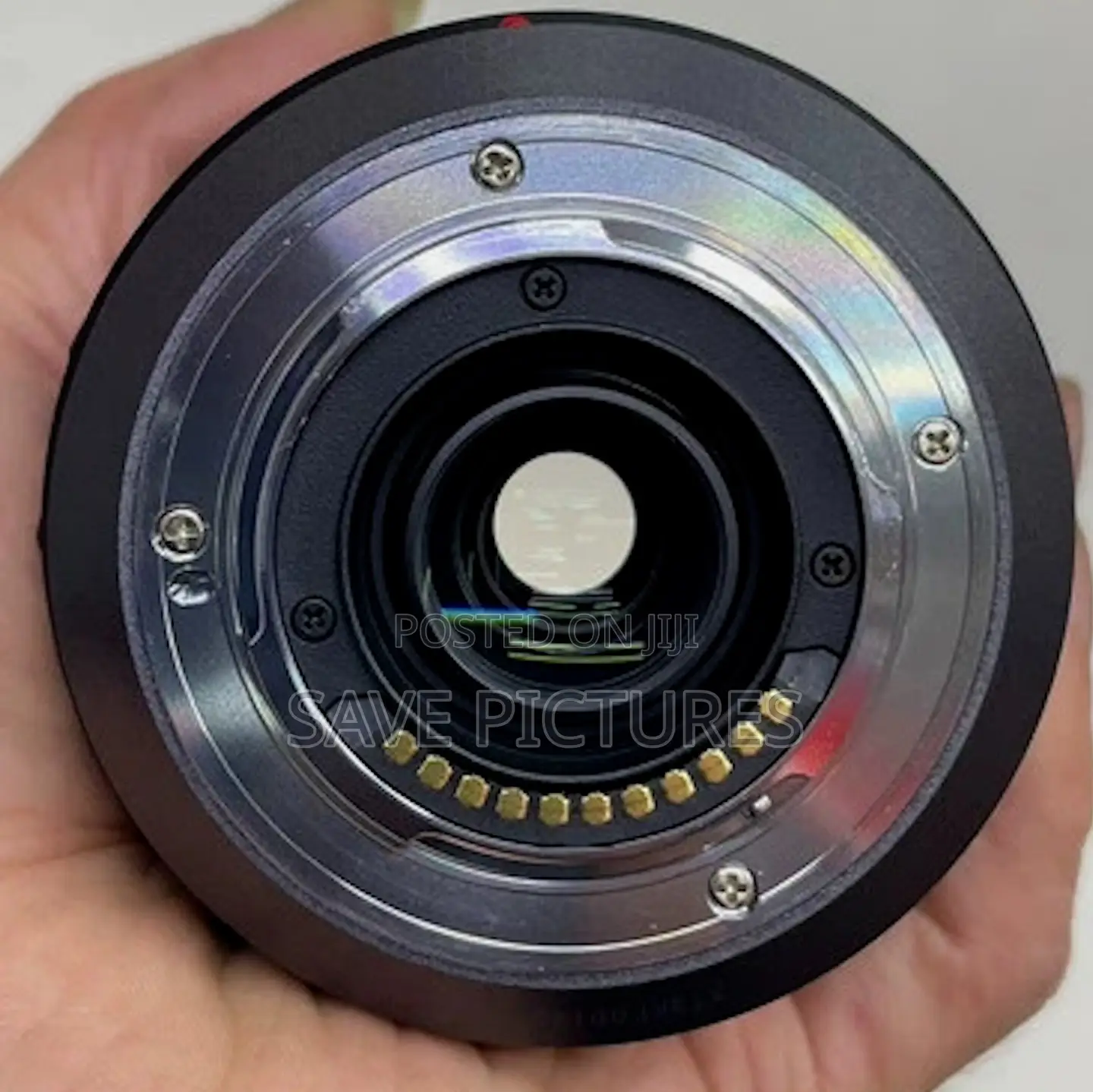 Panasonic Lumix 100-300mm F/4.0-5.6 Lens