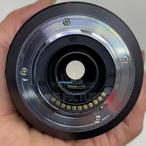 Panasonic Lumix 100-300mm F/4.0-5.6 Lens