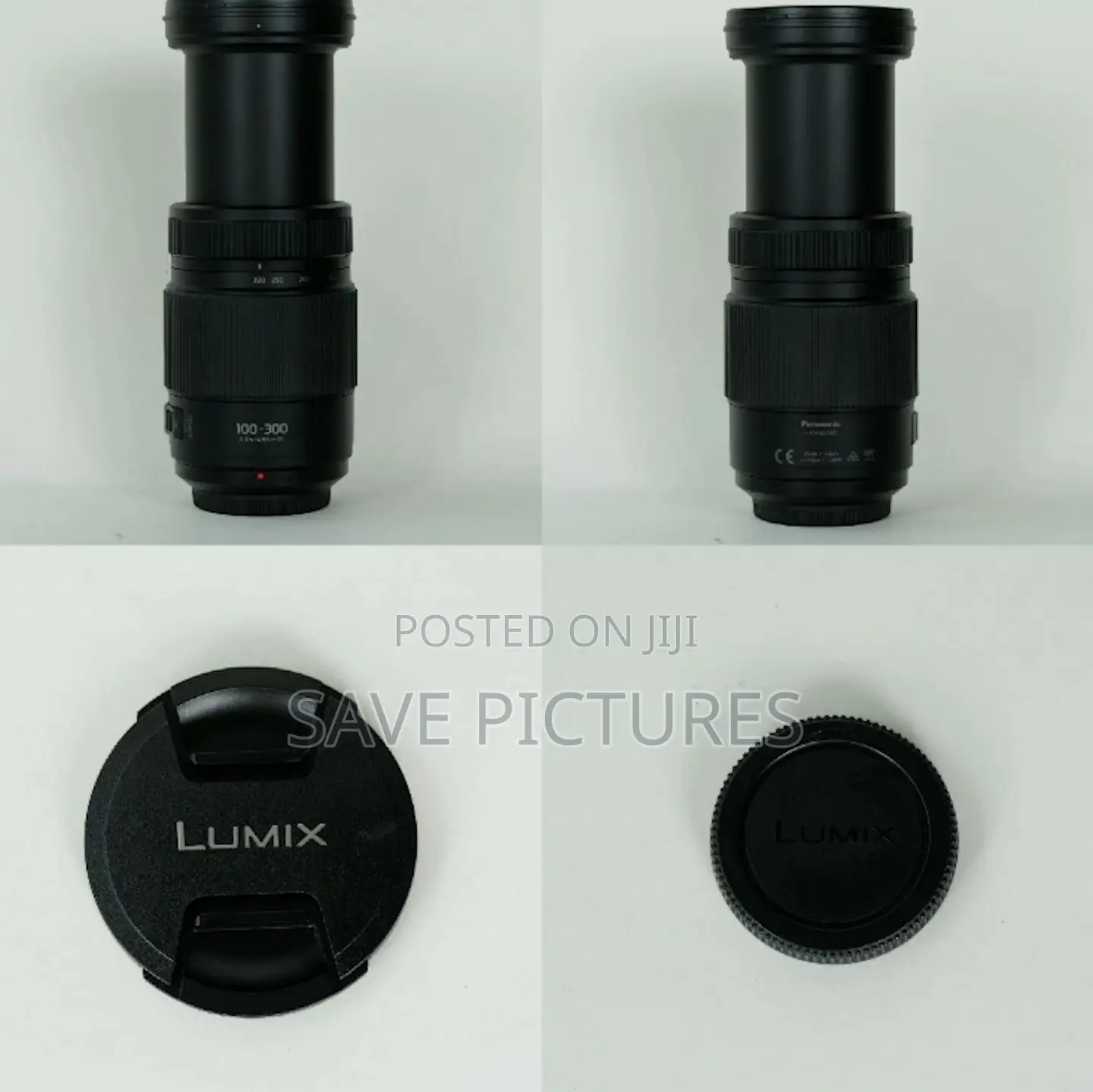 Panasonic Lumix 100-300mm F/4.0-5.6 Lens