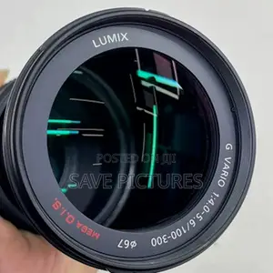 Panasonic Lumix 100-300mm F/4.0-5.6 Lens