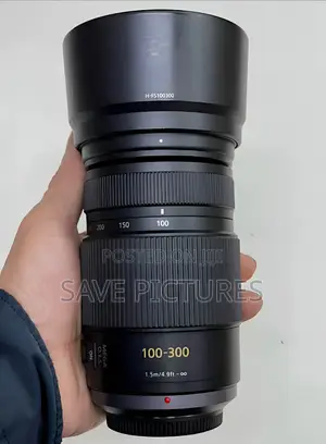 Panasonic Lumix 100-300mm F/4.0-5.6 Lens