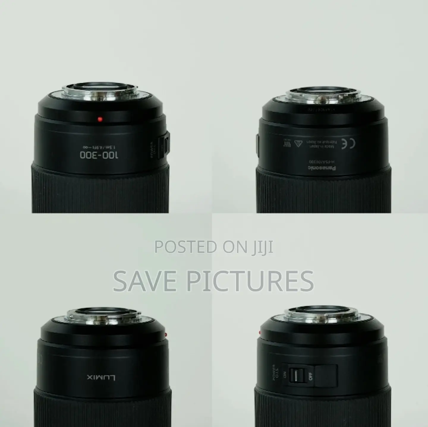 Panasonic Lumix 100-300mm F/4.0-5.6 Lens