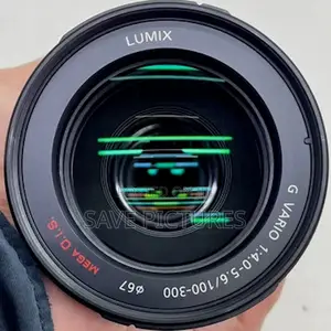 Panasonic Lumix 100-300mm F/4.0-5.6 Lens