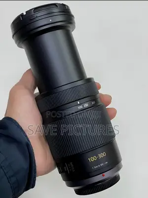 Panasonic Lumix 100-300mm F/4.0-5.6 Lens