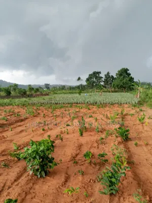 Residential Land for Sale at Aburi Pokrom