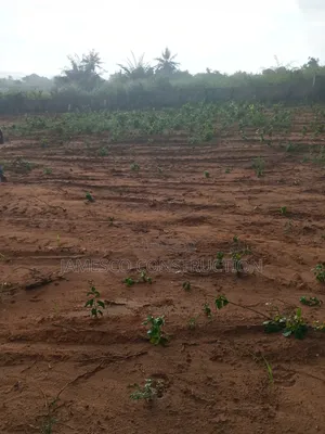 Residential Land for Sale at Aburi Pokrom