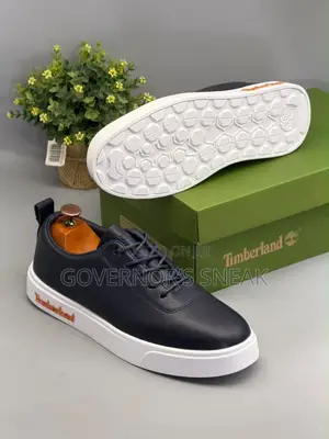 Timberland Causal Sneaker Different Colors in Stock