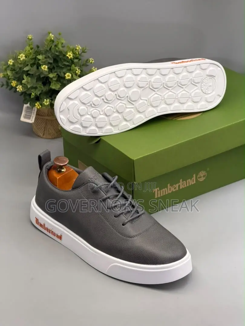 Timberland Causal Sneaker Different Colors in Stock