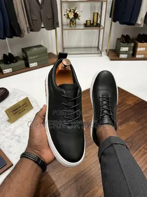 Timberland Causal Sneaker Different Colors in Stock