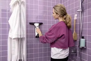 Karcher Wv2 Plus Window Vacuum
