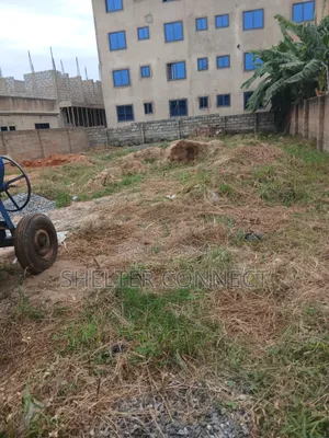 Half Plot of Land
