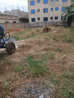 Half Plot of Land