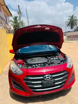 Hyundai Elantra Sport Sedan FWD (2.0L 4cyl 6A) 2016 Red