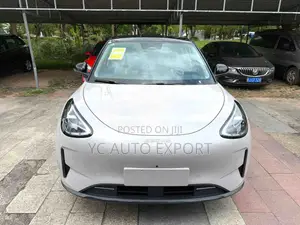 Geely Xingyuan 2026 Beige