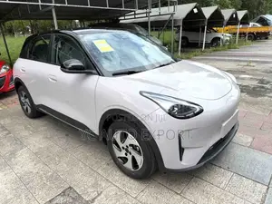 Geely Xingyuan 2026 Beige