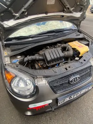 Kia Morning 2010 Brown