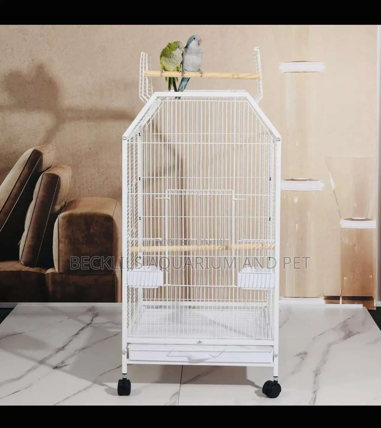 Grade a Parrot Cage With an Open Top
