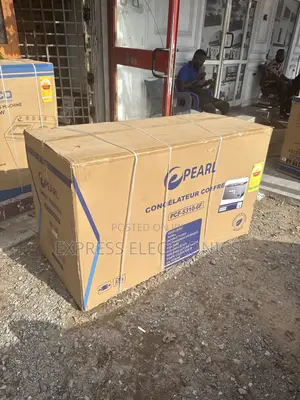 508L Double Door Pearl Chest Freezer