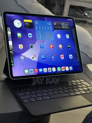 Apple iPad Pro (2022) 1 TB Gray