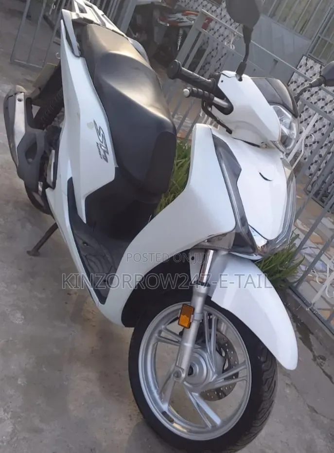 Honda Ignition 2024 White