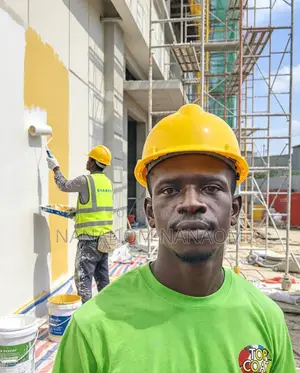 Professional Building Painter
