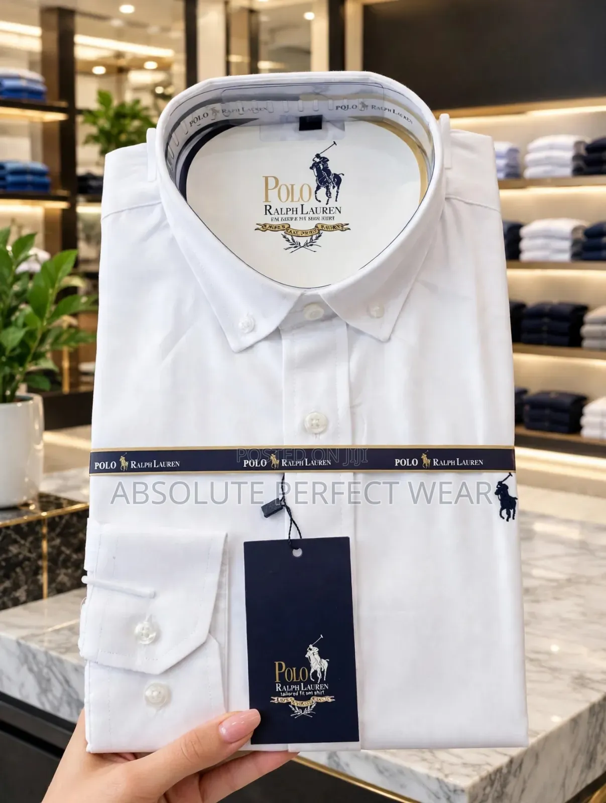 Cotton Polo Shirt for Men