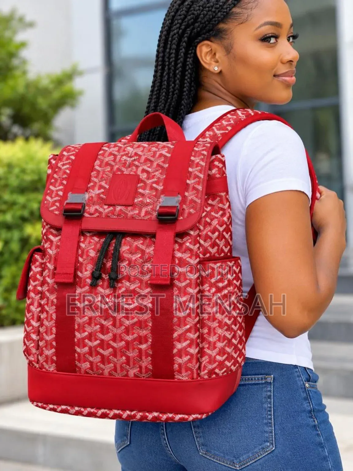 Goyard Backpack