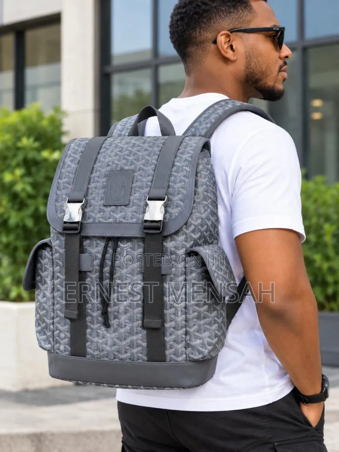 Goyard Backpack