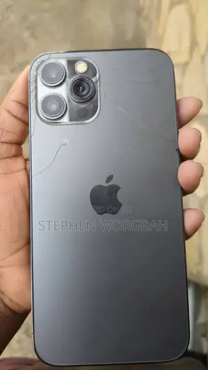 Apple iPhone 12 Pro Max 256 GB Gray