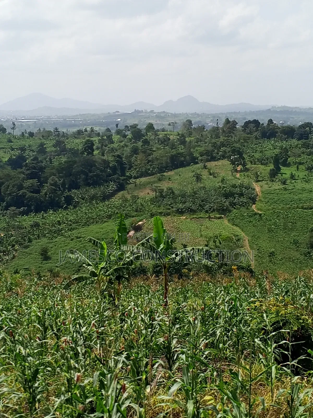 Farmland for Sale at Asuboi