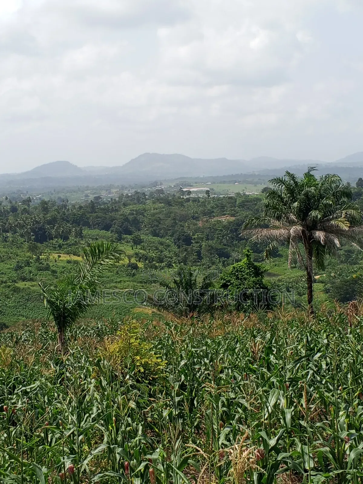 Farmland for Sale at Asuboi