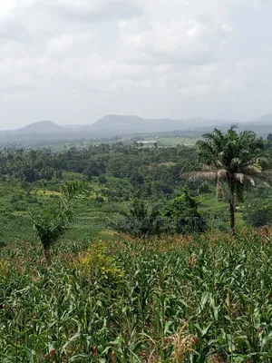 Farmland for Sale at Asuboi