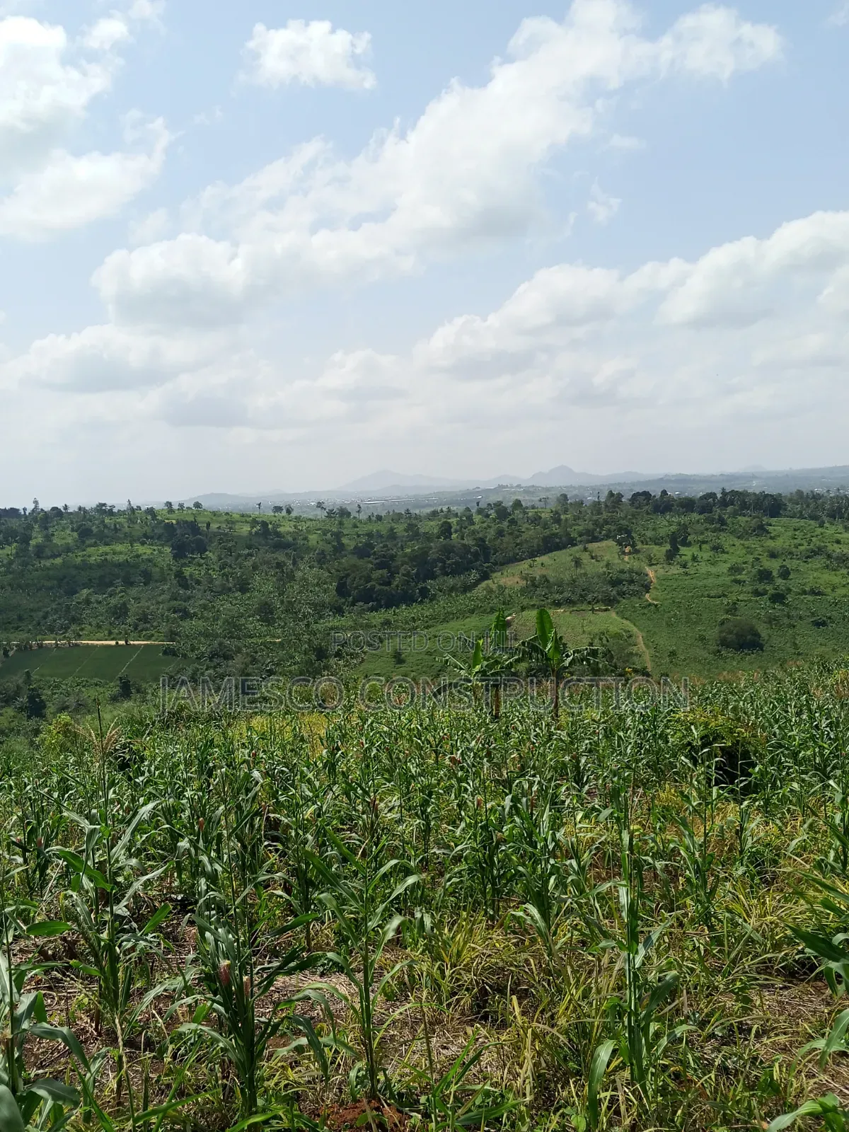 Farmland for Sale at Asuboi