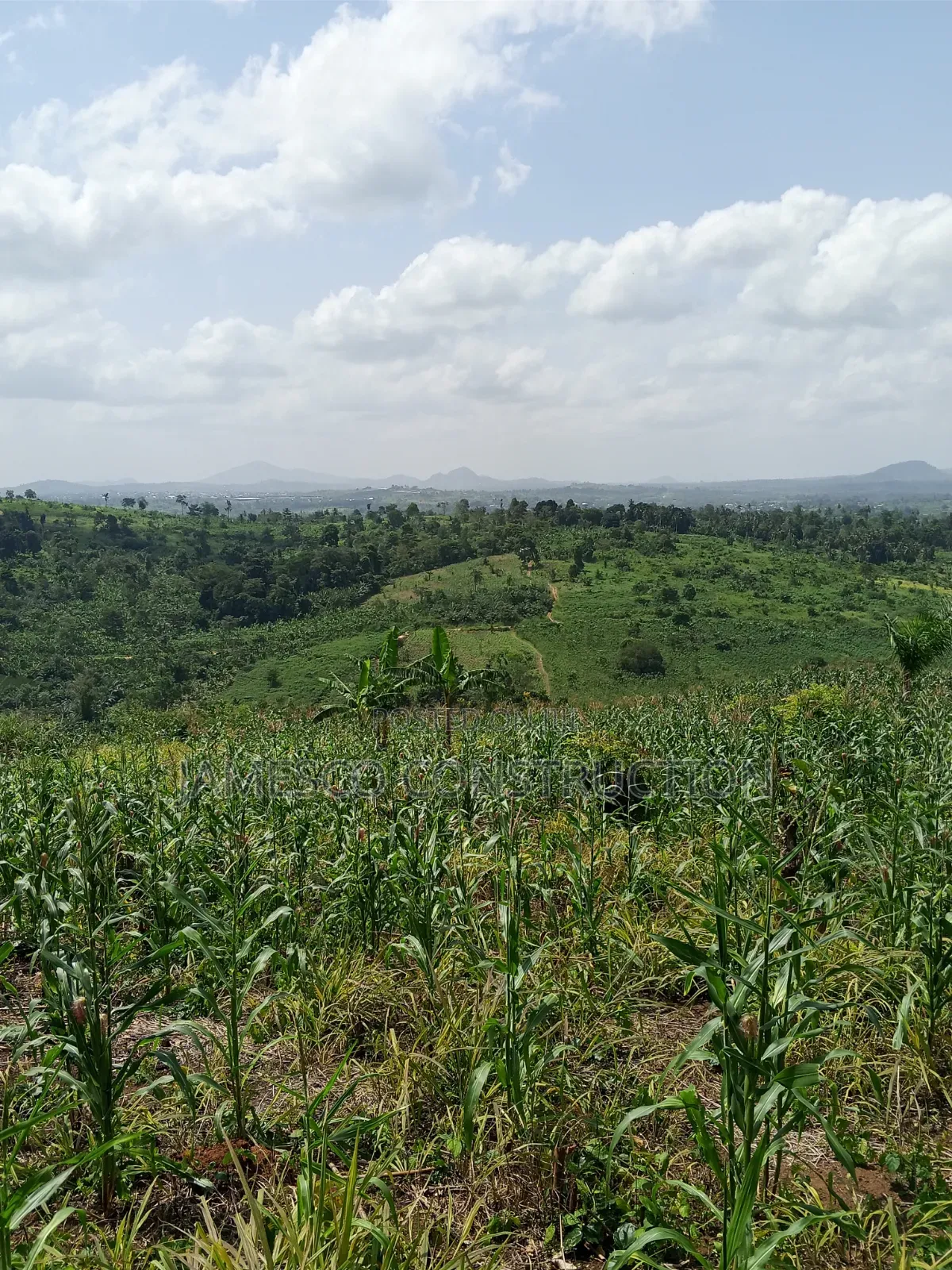 Farmland for Sale at Asuboi